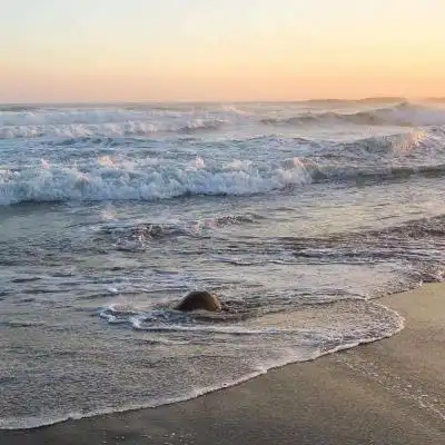 宋知意ins唯美意境海边背景图今年夏天去看海吧