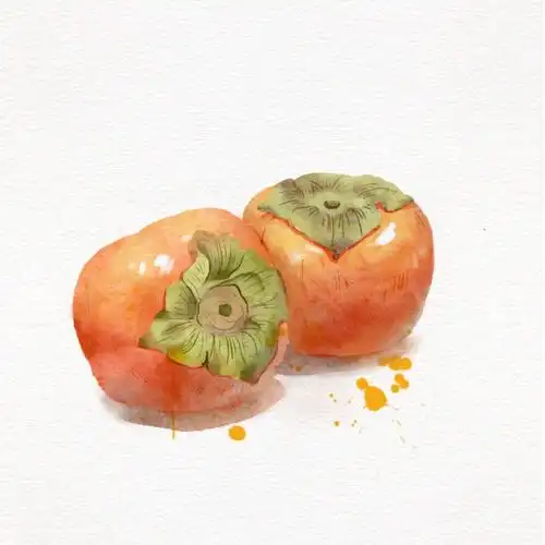 ipad水彩水果系列