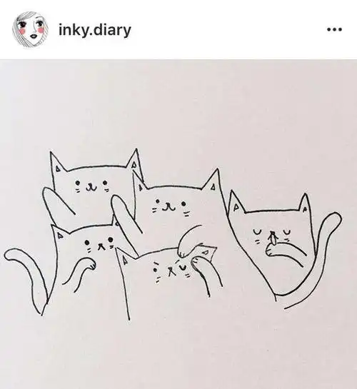 猫咪的简笔画画法 作者的ins:inky.diary