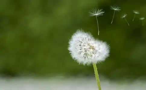让往事随风而去