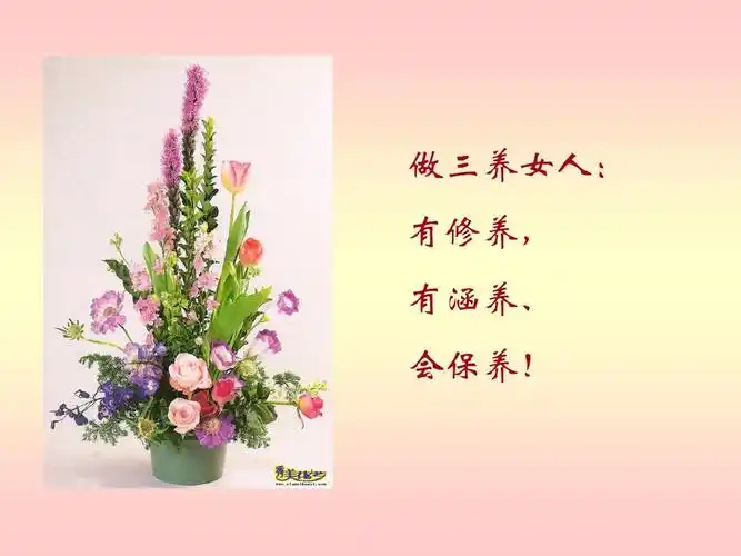 做三养女人: 有修养, 有涵养, 会保养!