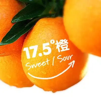 员工专享175度橙子1500g自提