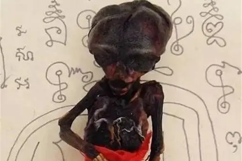 张柏芝真的是因为养小鬼养的比较多,所以最后遭到了报复吗?