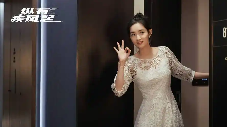 王玉雯《纵有疾风起》收官 白鹦完成闪耀职场蜕变_事业_小白_关系