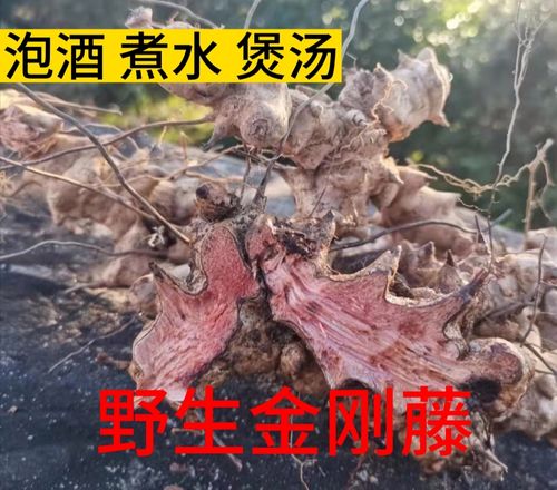 野生中药材金刚藤根金刚刺野生菝葜金刚藤铁菱角煲汤泡酒金刚头