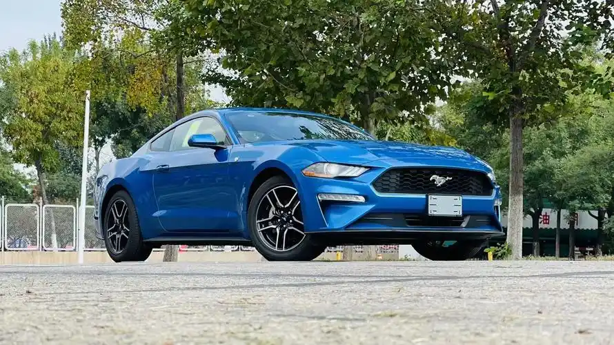 【福特野马 2020款 野马 2.