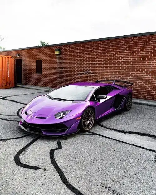 【图】紫魅大牛兰博基尼svj ,霸气十足_哈飞小霸王论坛_汽车之家论坛