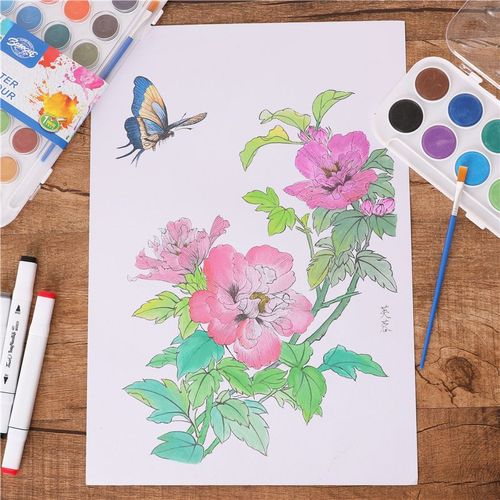 秘密花园涂色书大人减压固体水彩画绘画本花朵手绘填色本画画初学