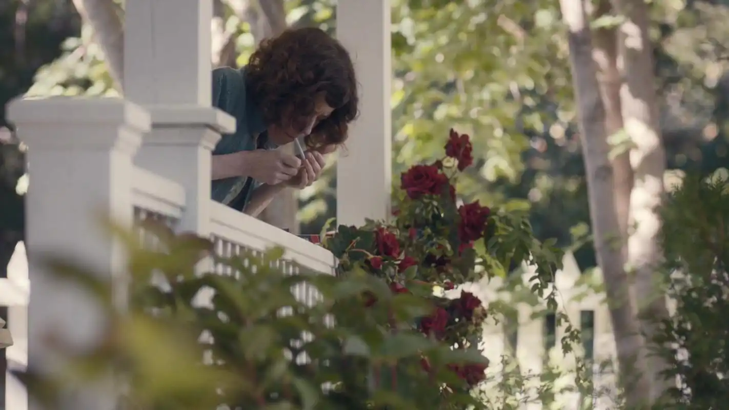 豆瓣9.1分爱情片《莫娣》:"平淡天真,本就是爱情该有的样子"