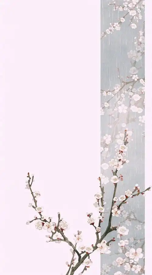 边框/文字背景/古风名片