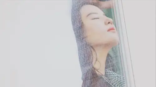 明星美图秀--刘亦菲005