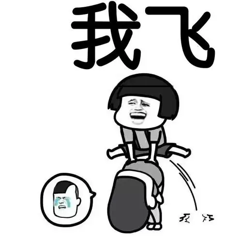 我飞- 斗图表情包 - 爱斗图 - adoutu.com