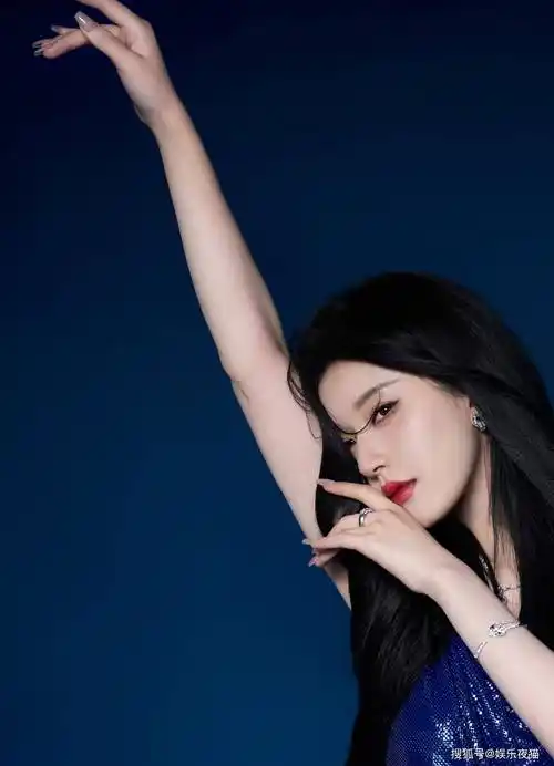 赵露思一袭深蓝色亮片礼服写真气质优雅端庄高贵-搜狐大视野-搜狐新闻
