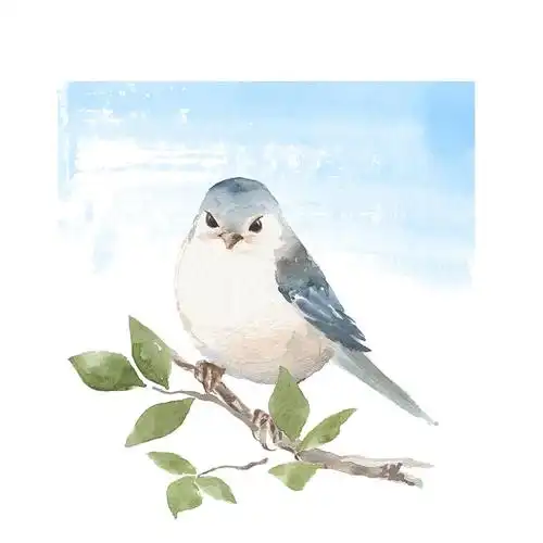 小鸟插画插画_小鸟插画手绘插画设计网