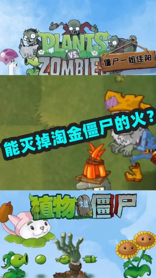 植物大战僵尸:淘金僵尸的火可以被灭掉?看你还怎么飞!