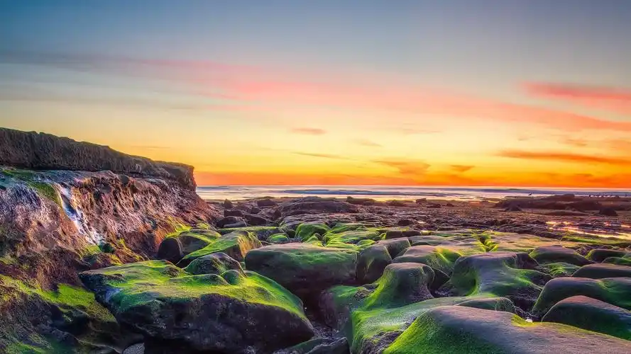 退潮的海滩-自然主题壁纸 - 1920x1080 壁纸 下载