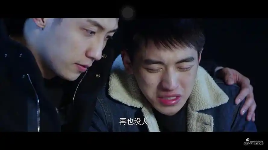 花椰菜的相册上瘾第一季1315集