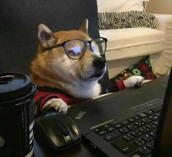 工作中的我就是这么六亲不认世界奇奇怪怪,我要可可爱爱欢迎保存~观察