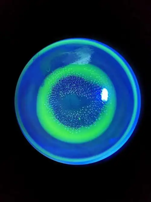 眼珠过度转动或戴镜时把镜片带偏,这时镜片下容易有气泡产生