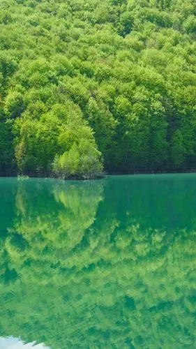 据说这是春天最养眼的颜色