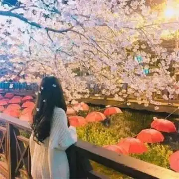 qq头像女生背影唯美小清新淡雅2020努力与自由五五分