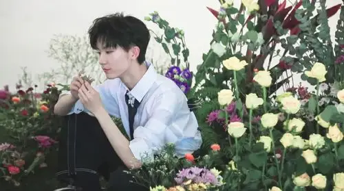 马嘉祺x你 一束白玫瑰