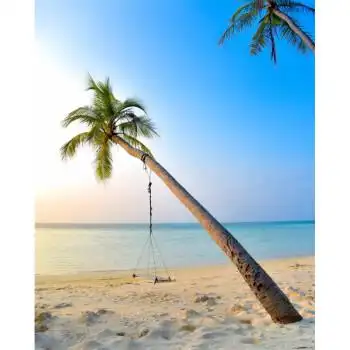 大海背景布 大海沙滩蓝天白云海边椰树风景主播拍视频段子直播背景布