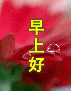 微信最新早上好问候语动态图片表情最美早上好问候祝福动态表情图片