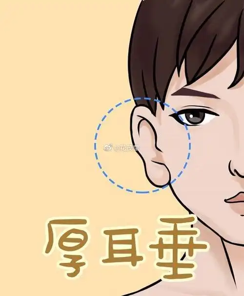 耳朵越大,福气越多是不是真的呢?