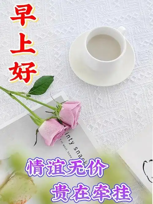 早安图片精选创意祝福图片带问候语美好的一天不忘牵挂和问候早上好