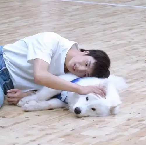 刘耀文唯一一次赢是因为土豆