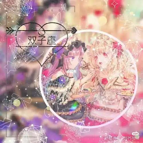 十二星座专属头像双子座下期发摩羯座