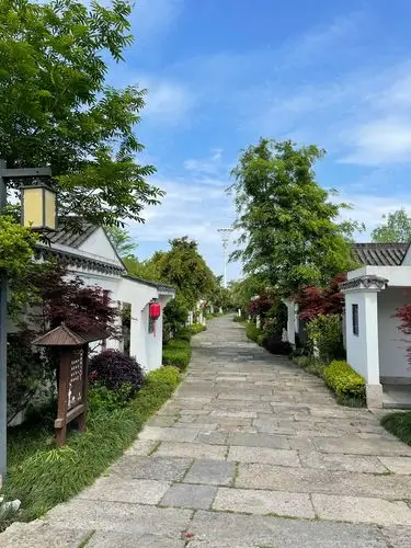 碧空如洗,蔷薇花开——绍兴大禹开元观堂-国内酒店-飞客茶馆旅行网