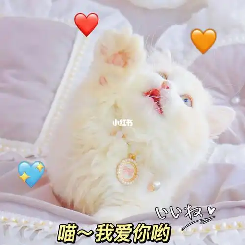 养猫发朋友圈文案78铲屎官の文案