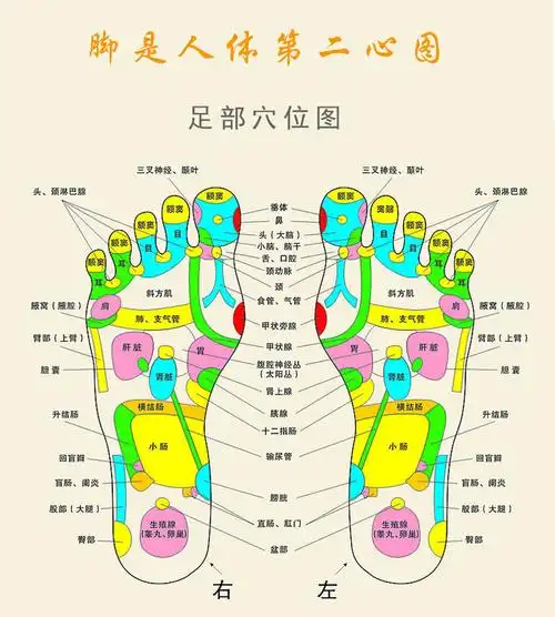 足疗机家用电动脚底按摩器滚轮红外线针灸加热按摩足底理疗仪批发