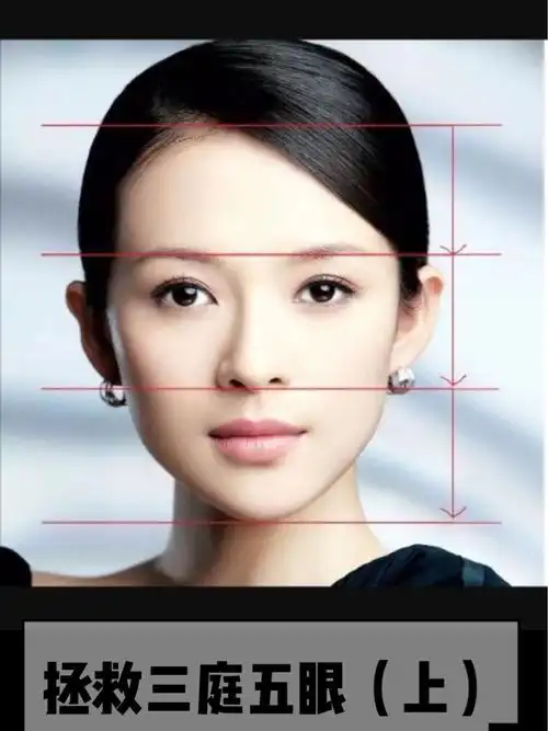 三庭五眼标准图三庭三庭比例三庭五眼基本画法三庭五眼的标准标准的三