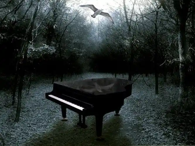 想找一图片里在可以有一架钢琴的,但感觉让人很伤感. 唯美伤感
