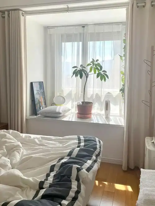 早晨起来看到阳光洒进卧室里,就随手一拍,无滤镜,喜欢起来有阳光的