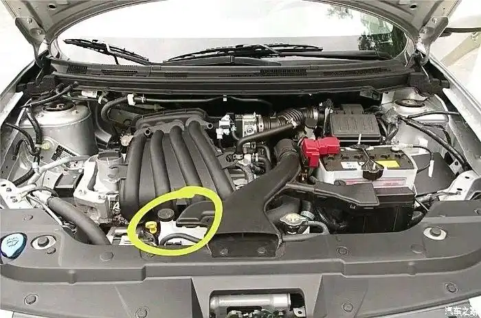 轩逸经典防冻液问题