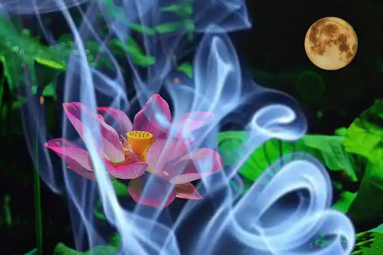 梦幻莲花后期习作