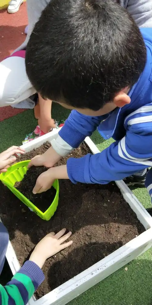 播下种子,撒下希望