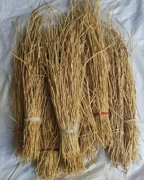 批发各种规格白茅根 甜甜根 整根白毛根 农产品散装