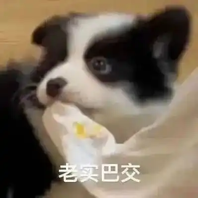 超实用的表情包