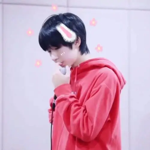 明星头像时代少年团tnt组合头像粉丝留言