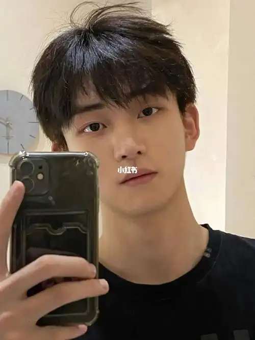 头顶自然蓬松不在坍塌头皮不用打理的男生发型微分碎盖整体自然蓬松烫