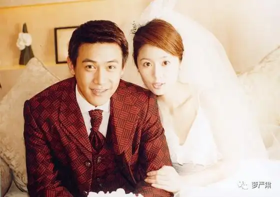 2003年的《男才女貌》2003,林心如配陆毅,it青年才俊题材,央视播出,任