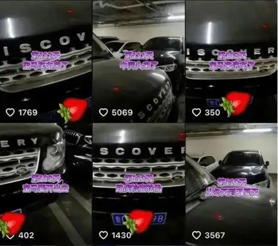 路虎堵宝马160天车主自述全过程