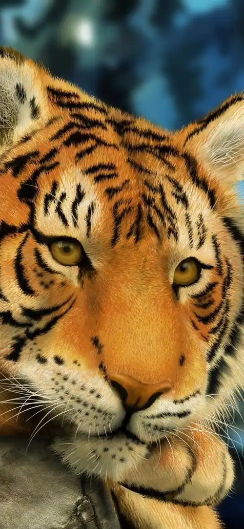 壁纸 老虎休息,艺术图片 3840x2160 uhd 4k 高清壁纸, 图片, 照片