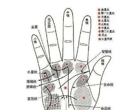 女人手相算命图解嫁得好的手相