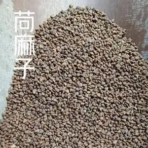 鹭冠旗舰店天猫中药材 苘麻子 别名:苘实 苎麻子 倾麻子 茼麻子 500